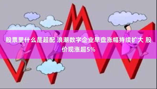 股票里什么是超配 浪潮数字企业早盘涨幅持续扩大 股价现涨超5%